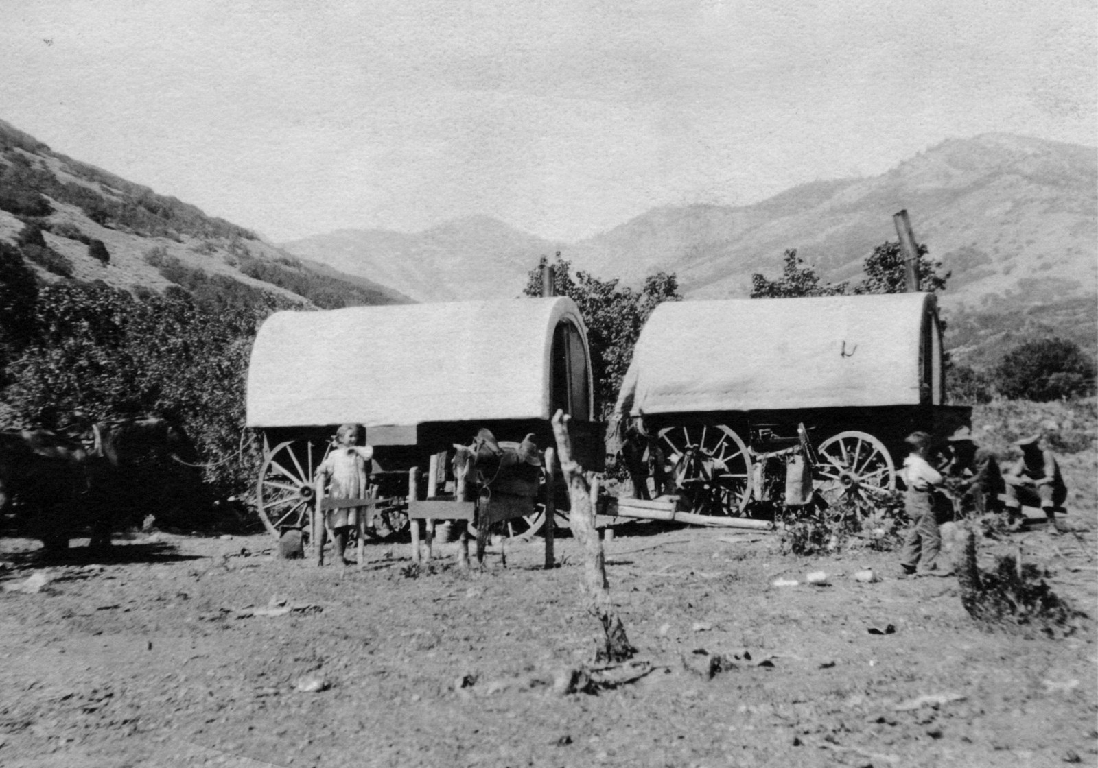 Powder Mountain Goes Golden 50 Years of Faceshots Ski Utah